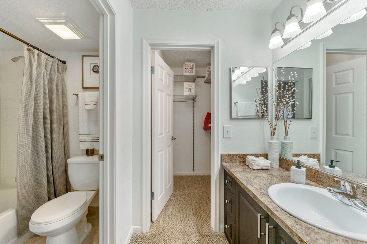 Bathroom with sink and cabinets looking into separate room with tub shower and toilet and walk in closet